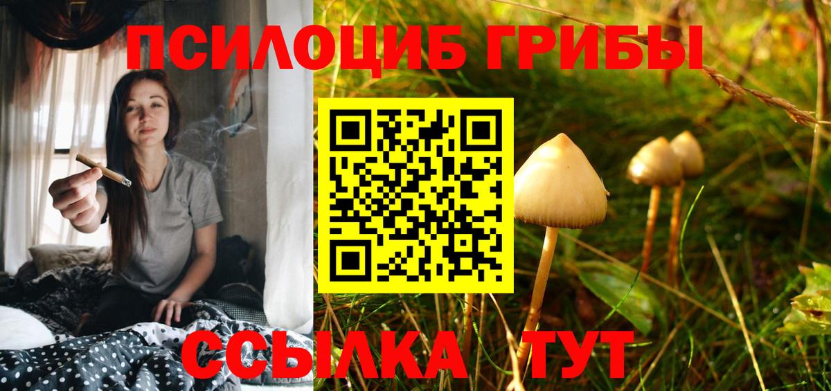 Псилоцибиновые грибы MAGIC MUSHROOMS Туапсе